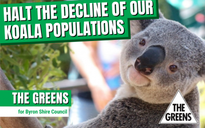 Halt the Decline of Our Koala Populations